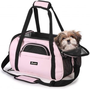 Pet Carriers