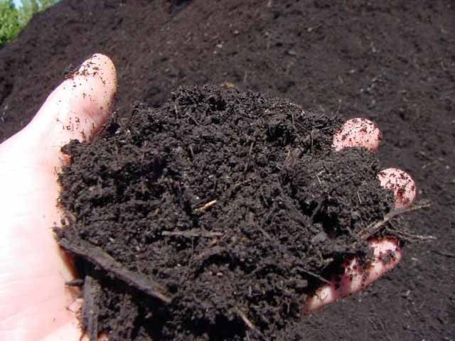 Wholesale compost