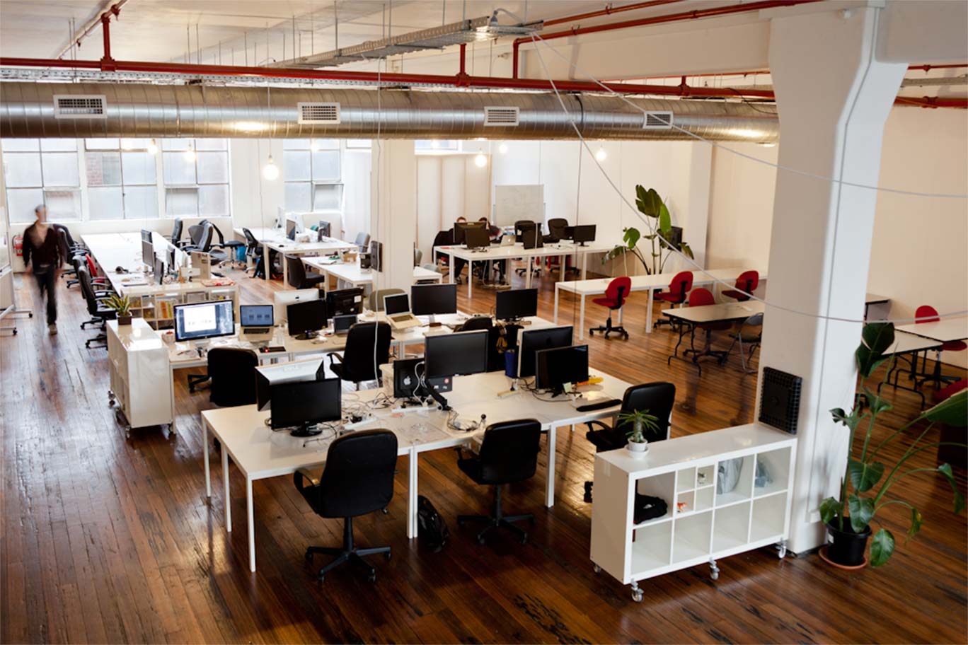 Environmental Sustainability in Modern Coworking Spaces